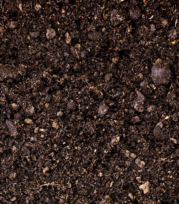 swine-minerals-soil